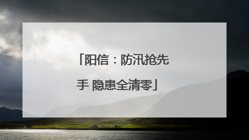 阳信：防汛抢先手 隐患全清零