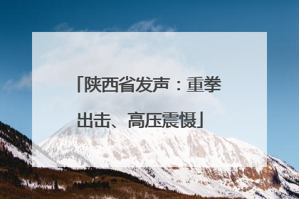 陕西省发声：重拳出击、高压震慑