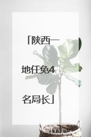 陕西一地任免4名局长