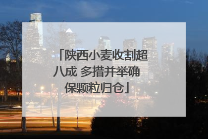 陕西小麦收割超八成 多措并举确保颗粒归仓