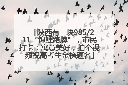 陕西有一块985/211“锦鲤路牌”，市民打卡：寓意美好，拍个视频祝高考生金榜题名