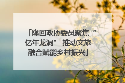 隆回政协委员聚焦“亿年龙洞” 推动文旅融合赋能乡村振兴