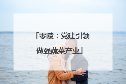 零陵：党建引领 做强蔬菜产业