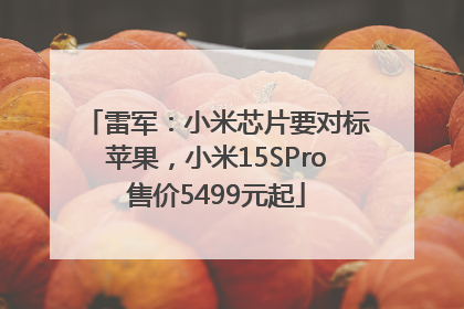 雷军：小米芯片要对标苹果，小米15SPro售价5499元起