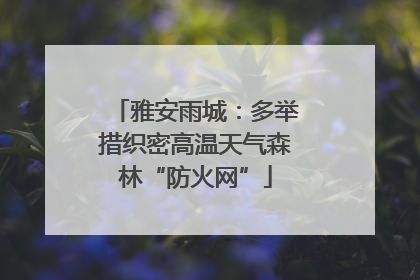 雅安雨城：多举措织密高温天气森林“防火网”