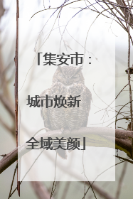 集安市：城市焕新 全域美颜