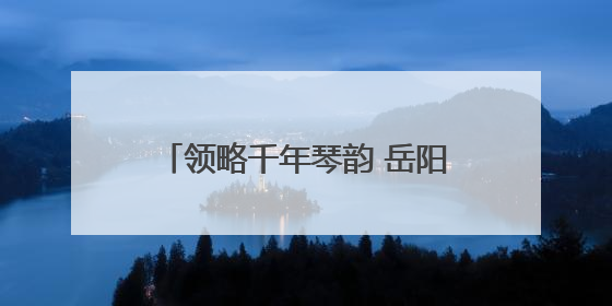 领略千年琴韵 岳阳市古琴协会一行参观岳阳楼博物馆古琴展
