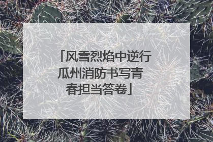 风雪烈焰中逆行 瓜州消防书写青春担当答卷