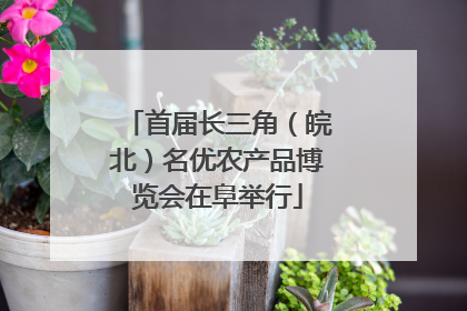 首届长三角（皖北）名优农产品博览会在阜举行