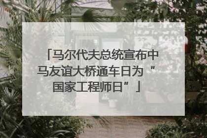 马尔代夫总统宣布中马友谊大桥通车日为“国家工程师日”