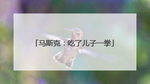 马斯克：吃了儿子一拳