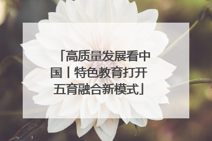 高质量发展看中国丨特色教育打开五育融合新模式