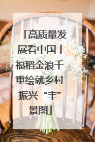 高质量发展看中国丨福稻金浪千重绘就乡村振兴“丰”景图