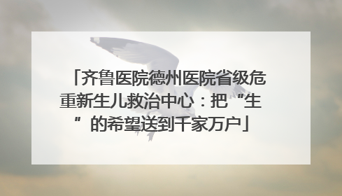 齐鲁医院德州医院省级危重新生儿救治中心：把“生”的希望送到千家万户