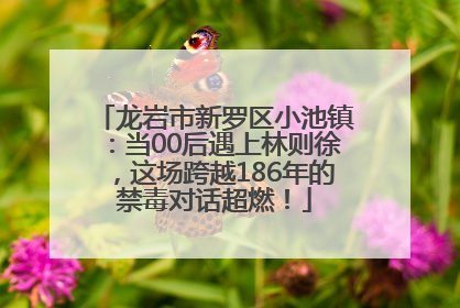 龙岩市新罗区小池镇：当00后遇上林则徐，这场跨越186年的禁毒对话超燃！