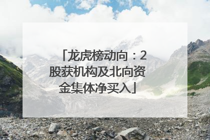 龙虎榜动向：2股获机构及北向资金集体净买入