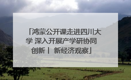 鸿蒙公开课走进四川大学 深入开展产学研协同创新丨 新经济观察