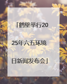 鹤壁举行2025年六五环境日新闻发布会