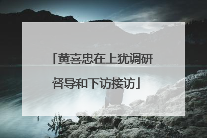 黄喜忠在上犹调研督导和下访接访