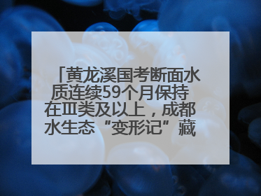 黄龙溪国考断面水质连续59个月保持在Ⅲ类及以上，成都水生态“变形记”藏着这些密码
