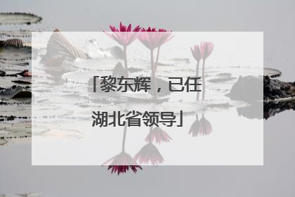 黎东辉，已任湖北省领导
