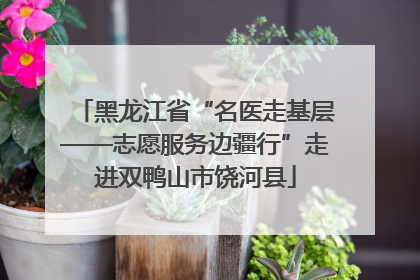 黑龙江省“名医走基层——志愿服务边疆行”走进双鸭山市饶河县