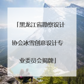 黑龙江省勘察设计协会冰雪创意设计专业委员会揭牌