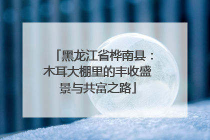 黑龙江省桦南县：木耳大棚里的丰收盛景与共富之路