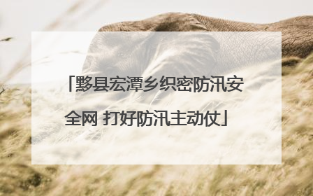 黟县宏潭乡织密防汛安全网 打好防汛主动仗