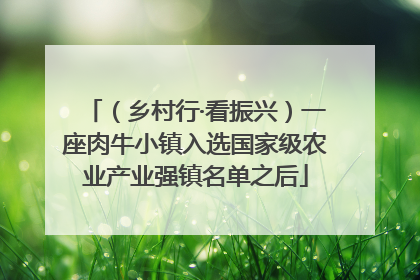 （乡村行·看振兴）一座肉牛小镇入选国家级农业产业强镇名单之后