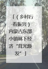 （乡村行·看振兴）内蒙古东部小镇林下经济“茸光焕发”