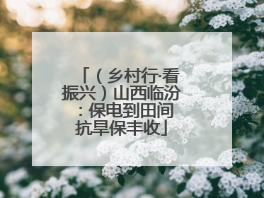 （乡村行·看振兴）山西临汾：保电到田间 抗旱保丰收