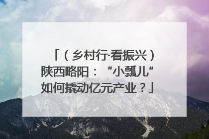 （乡村行·看振兴）陕西略阳：“小瓢儿”如何撬动亿元产业？