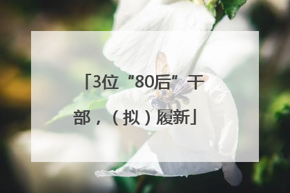 3位“80后”干部，（拟）履新
