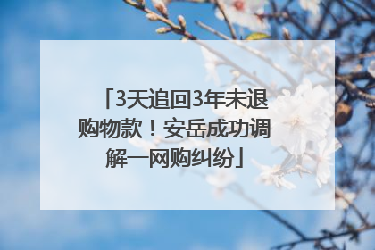 3天追回3年未退购物款！安岳成功调解一网购纠纷