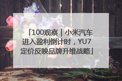 100观察｜小米汽车进入盈利倒计时，YU7定价反映品牌升维战略