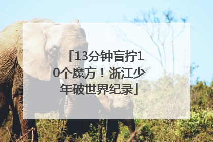 13分钟盲拧10个魔方！浙江少年破世界纪录