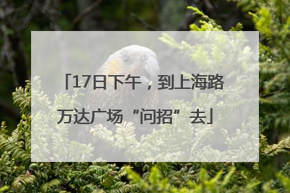 17日下午，到上海路万达广场“问招”去