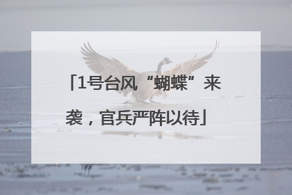 1号台风“蝴蝶”来袭，官兵严阵以待