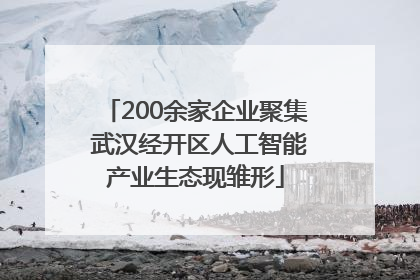 200余家企业聚集 武汉经开区人工智能产业生态现雏形