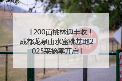 200亩桃林迎丰收！成都龙泉山水蜜桃基地2025采摘季开启