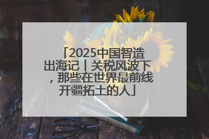 2025中国智造出海记丨关税风波下，那些在世界最前线开疆拓土的人