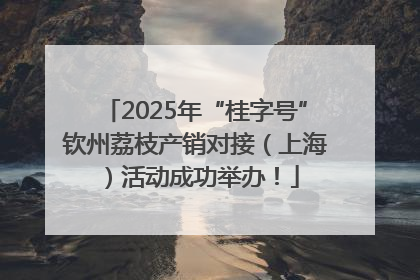 2025年“桂字号”钦州荔枝产销对接（上海）活动成功举办！