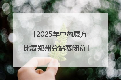 2025年中匈魔方比赛郑州分站赛闭幕
