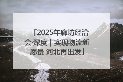 2025年廊坊经洽会·深度｜实现物流新愿景 河北再出发