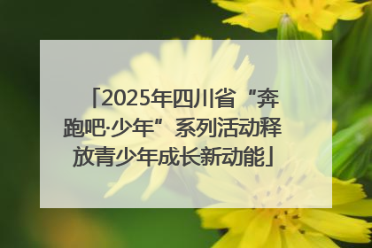 2025年四川省“奔跑吧·少年”系列活动释放青少年成长新动能