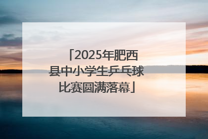 2025年肥西县中小学生乒乓球比赛圆满落幕