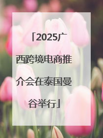 2025广西跨境电商推介会在泰国曼谷举行