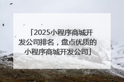 2025小程序商城开发公司排名，盘点优质的小程序商城开发公司