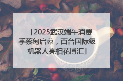 2025武汉端午消费季蔡甸启幕，百台国际级机器人亮相花博汇